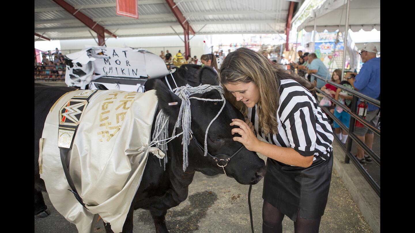 Photo Gallery: My Animal 'N Me Fashion Show at the Orange County Fair