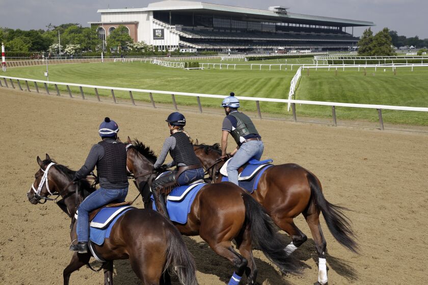 FILE - Riders workout with horses at Belmont Park in Elmont, N.Y., June 6, 2019. A 6-year-old horse died after being injured in a race at Belmont Park ahead of next week’s Triple Crown finale in New York. Chaysenbryn injured his right front leg nearing the quarter pole in the third race Thursday, June 1, 2023. (AP Photo/Seth Wenig, File)