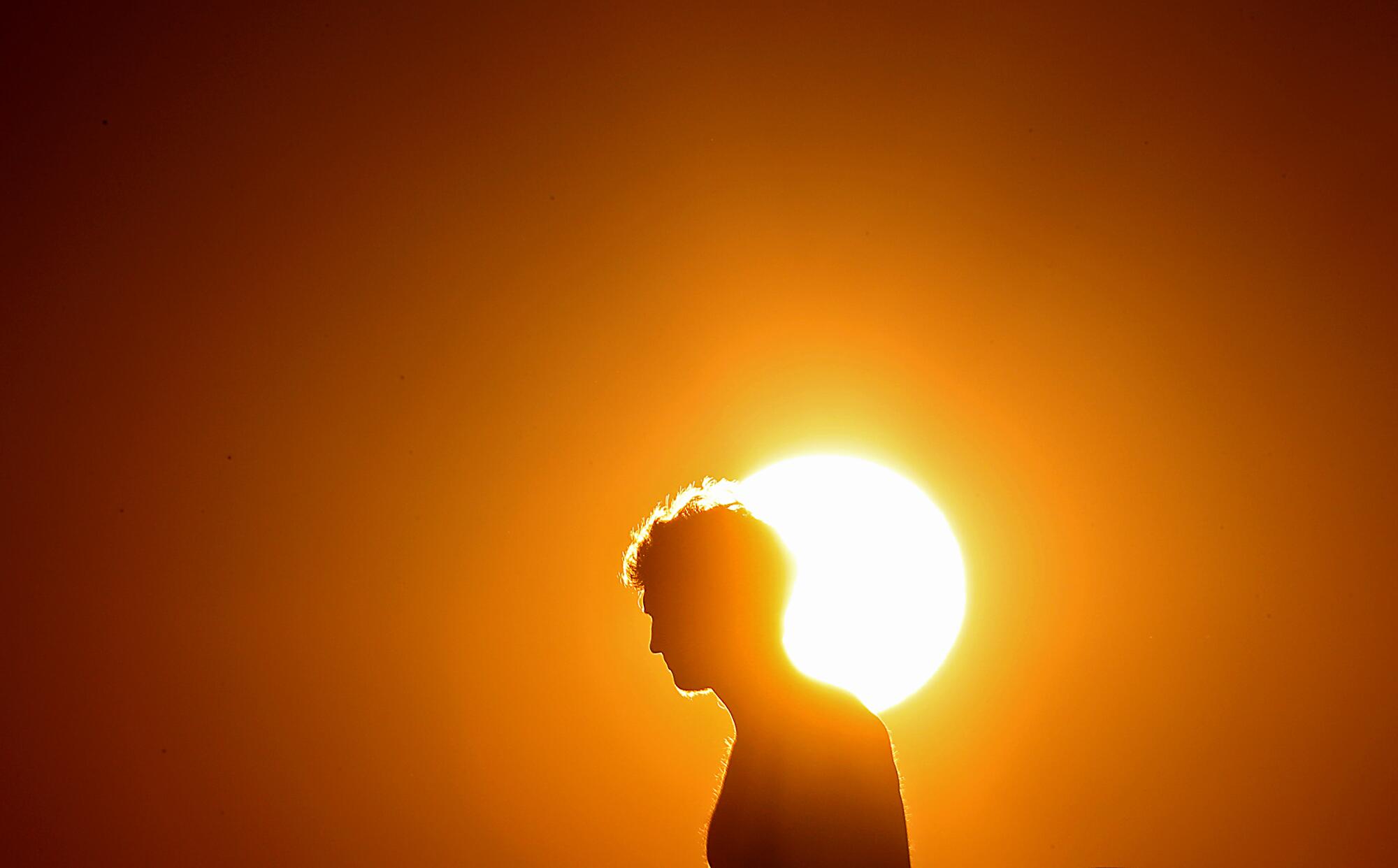 A man's head is silhouetted by the sun.