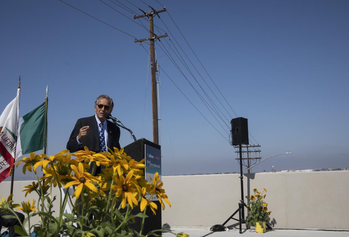 A man in sunglasses and suit speaks at a podium beneath a blue sky and transmission lines, with daisies in the foreground.