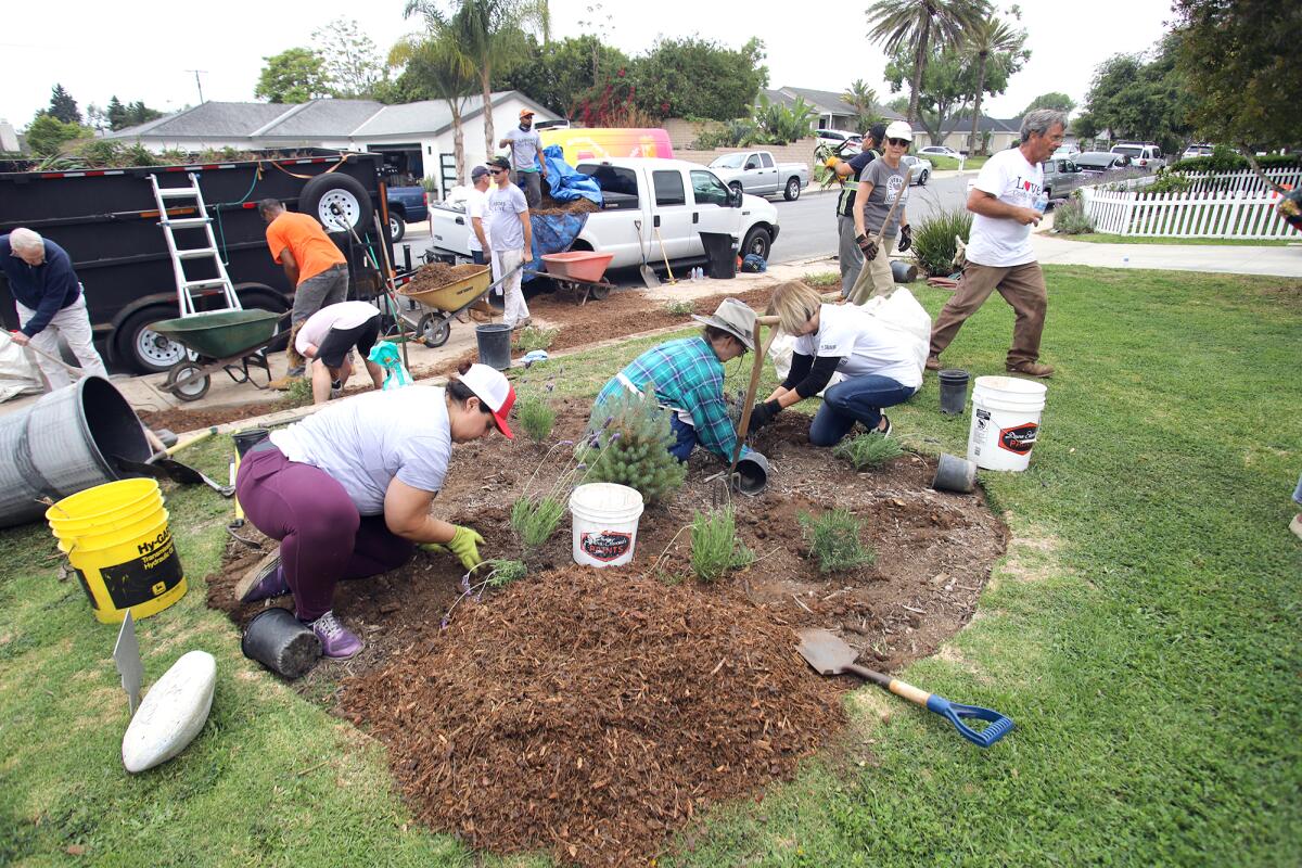 A group of volunteers from Labors of Love take part in a landscaping project on Saturday.