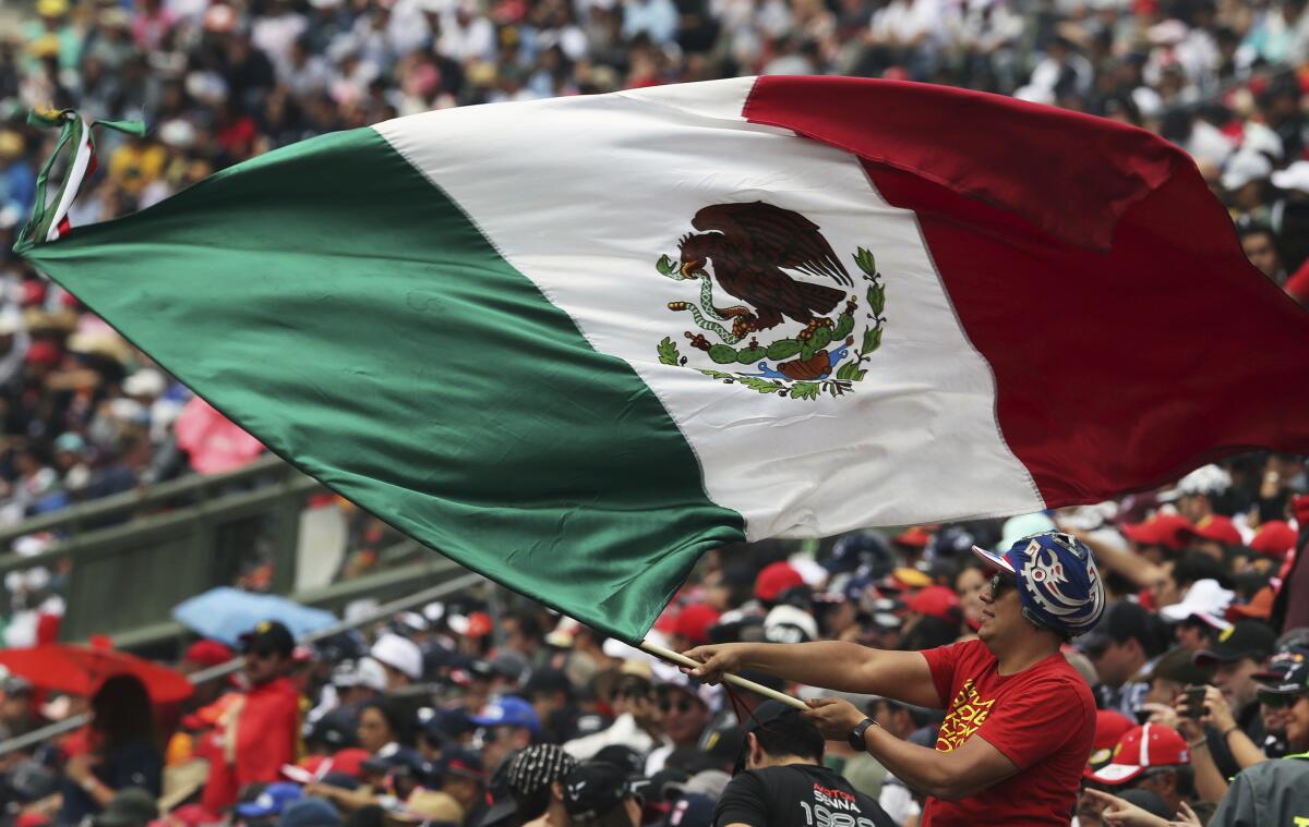 A person flies a Mexican flag in a crowd