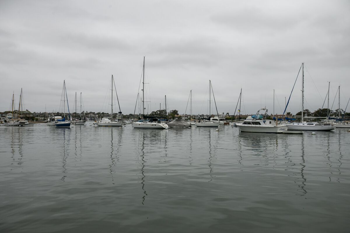Boats are anchored in the offshore Mooring Field C in the Newport Channel.