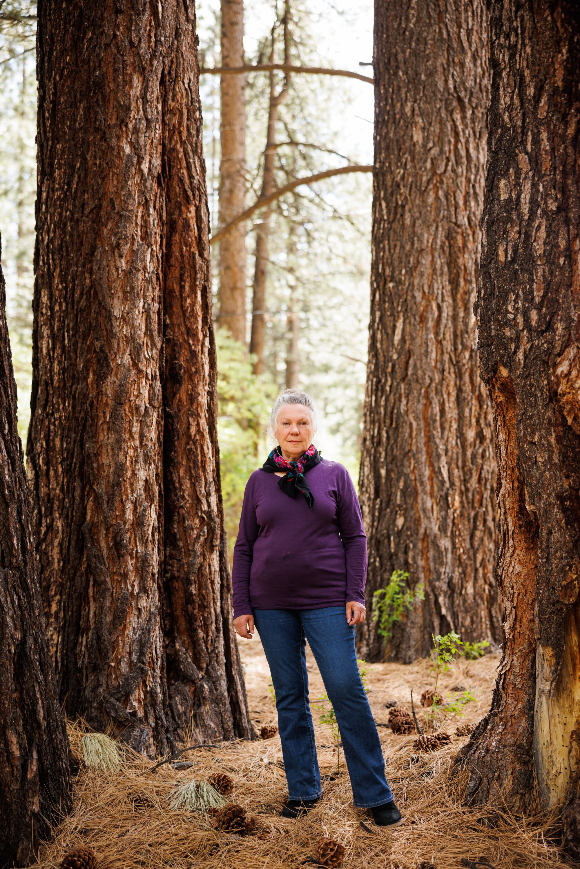 A woman standing among pinecones and needles at the base of several large trees