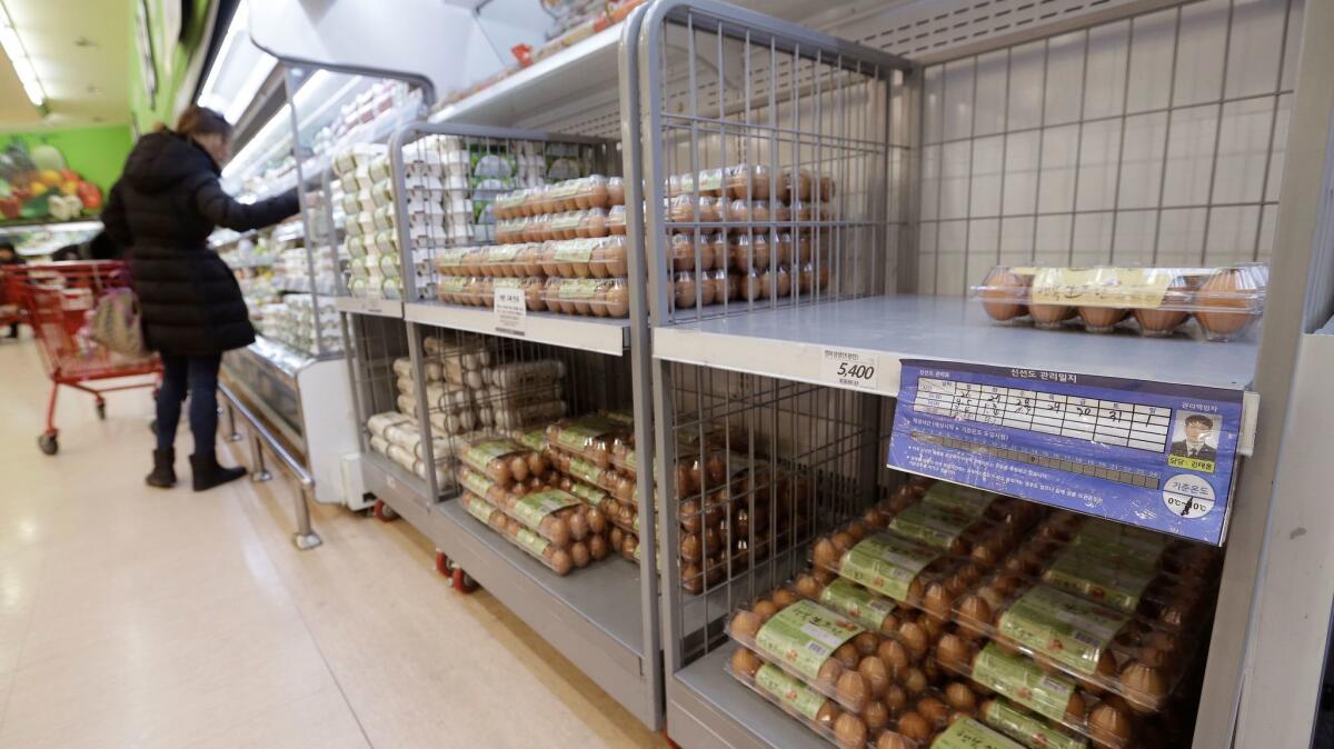 South Korea's egg consumers have noticed shortages, which have driven up prices by as much as 50% on average since December.