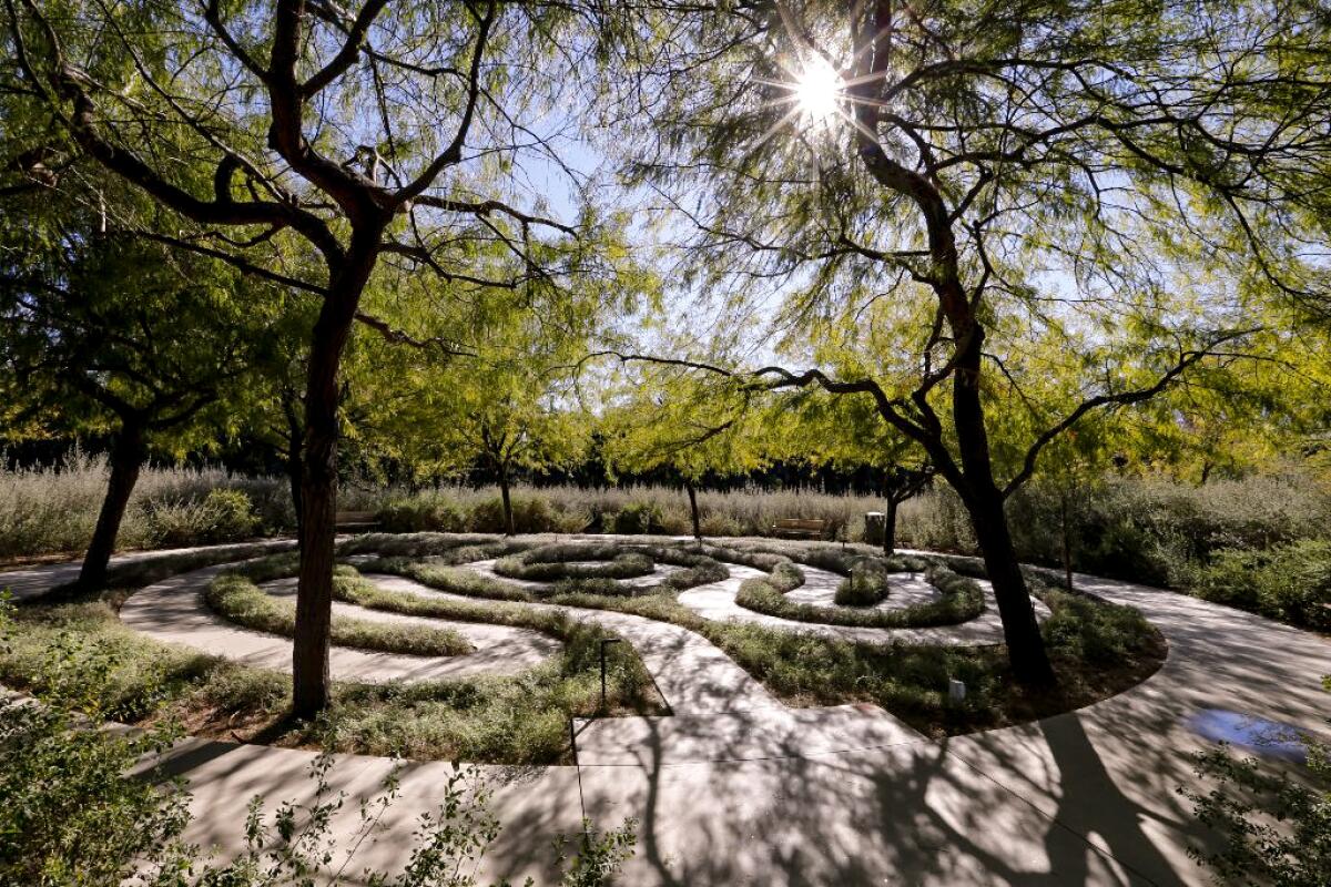 A walkway in a garden.