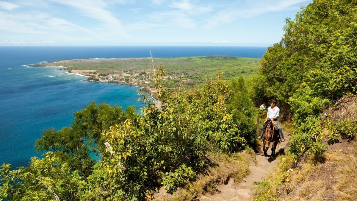 Visitors to Molokai ride mules up a mountainside after their visit to Kalaupapa National Historic Park. The seaside community is where lepers were once isolated from society.
