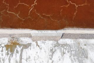 Lone Pine, CA - February 14: Saline brine and salt sediments on Owens Lake on Wednesday, Feb. 14, 2024 in Lone Pine, CA. Recent storms have revived vast, dry Owens Lake more than a century after its inflows were diverted into the Los Angeles Aqueduct. Trouble is, the floodwaters have covered Los Angeles' $2.5 billion worth of dust suppression projects on the lakebed- crushed rock, furrows, vegetation, and berms- with corrosive sediment. The full extent of the damage may not be known until the water evaporates a year or so from now. Meanwhile, environmentalists are launching a campaign to pressure L.A. to keep it full of water. (Brian van der Brug / Los Angeles Times)