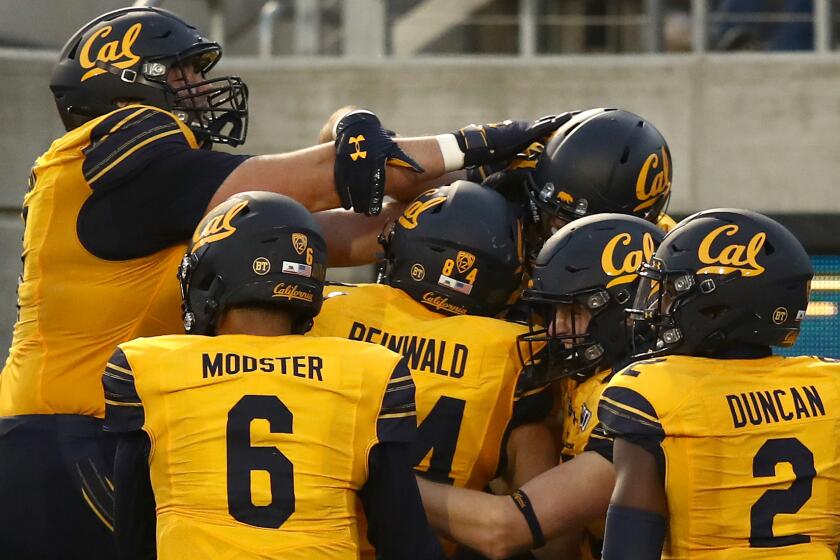 BERKELEY, CALIFORNIA - NOVEMBER 09: Gavin Reinwald #84 of the California Golden Bears is congratulated by teammates after he scored a touchdown against the Washington State Cougars at California Memorial Stadium on November 09, 2019 in Berkeley, California. (Photo by Ezra Shaw/Getty Images)