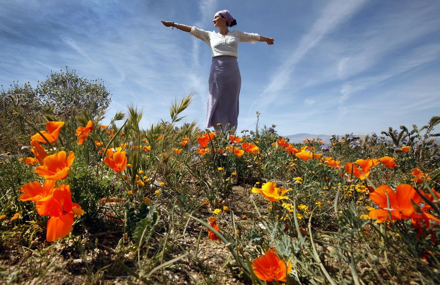 Gian Prem, of Venice, poses for a photograph at the Antelope Valley California Poppy Reserve near Lancaster, where the Poppy Festival will be held this weekend.