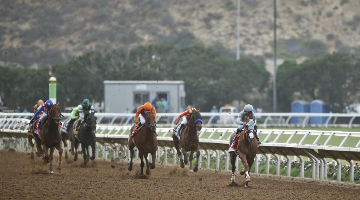 California Chrome flies down the closing stretch during the running of the Pacific Classic at Del Mar.