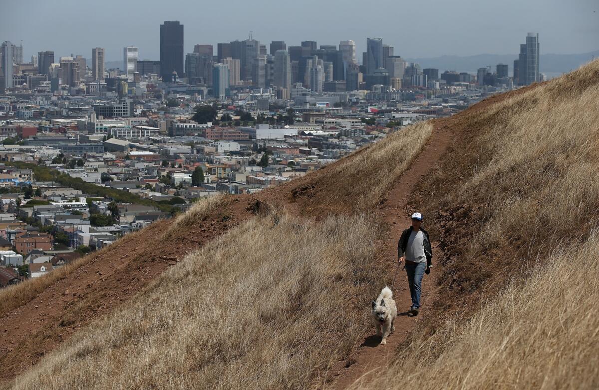 San Francisco recorded no measurable rain in January for the first time 165 years. Above, a woman walks her dog on a dry hillside in the city's Bernal Heights Park.