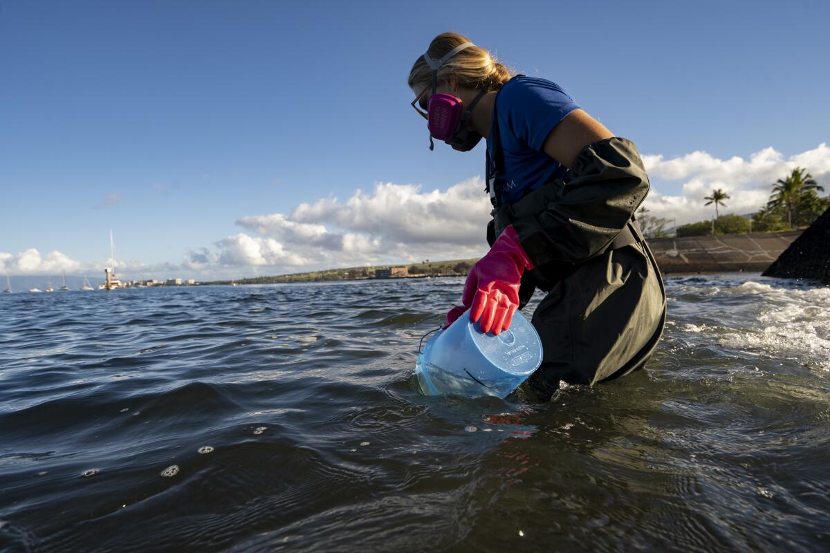 A woman in protective gear fills up a bucket in the surf to test water quality