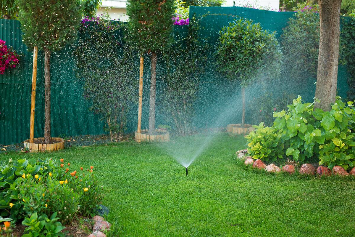 Sprinkler watering in a garden