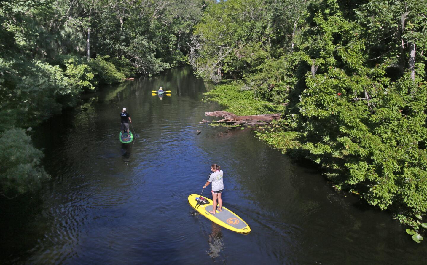 Paddleboarders and a kayaker paddle up the Wekiva River On Earth Day, Wednesday, April 22, 2015.