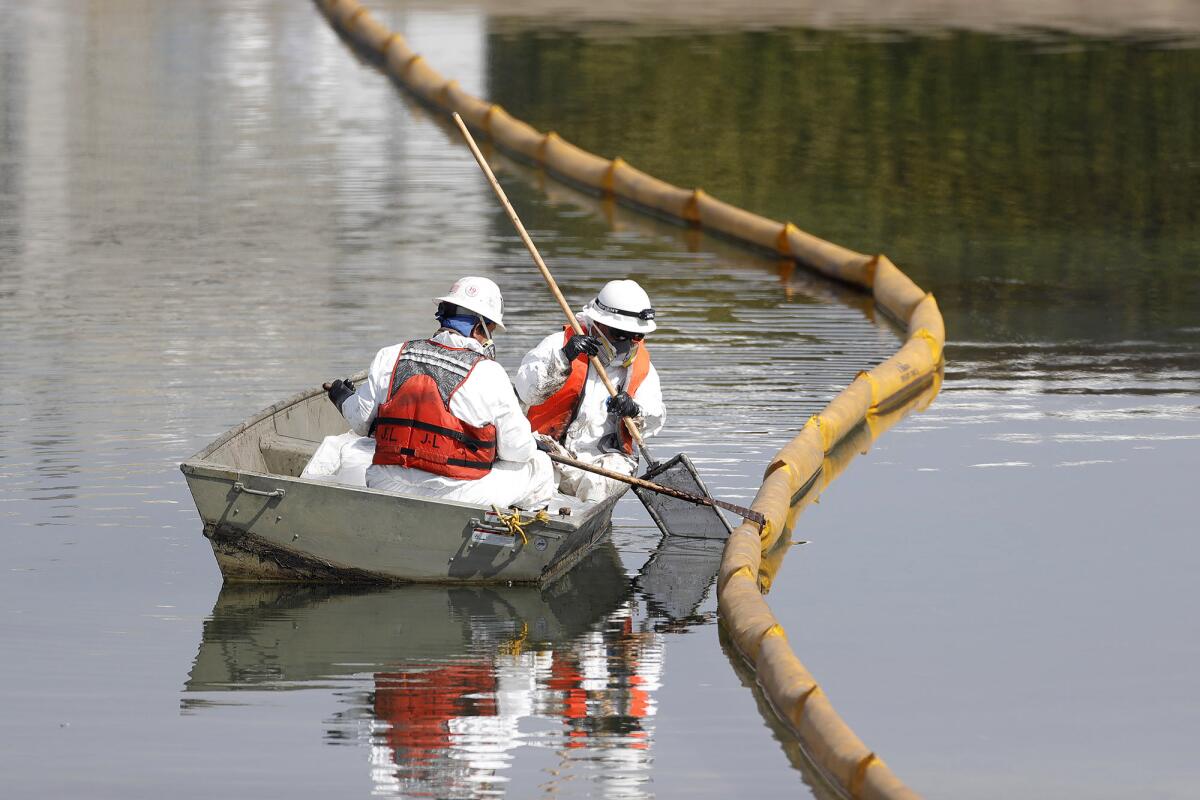 A contracted clean-up crew search for oil covered debris next to a floating barrier called a "boom," following the oil spill.