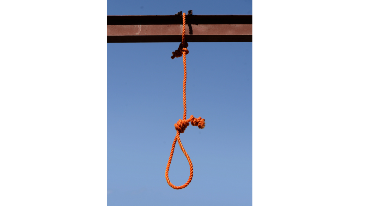 How to Tie a Noose: The Macabre Art of a Hangman's Knot — CHELSIDERMY