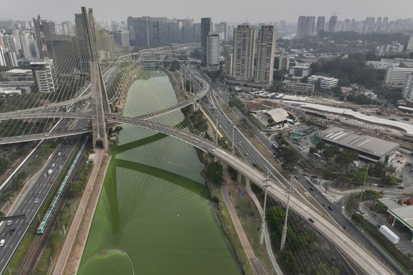 The Pinheiros River is green in Sao Paulo, Brazil, Tuesday, Sept. 10, 2024. The state's environmental authority attributes the river's new green hue to an algae bloom, the result of severe drought that has significantly lowered water levels. (AP Photo/Andre Penner)