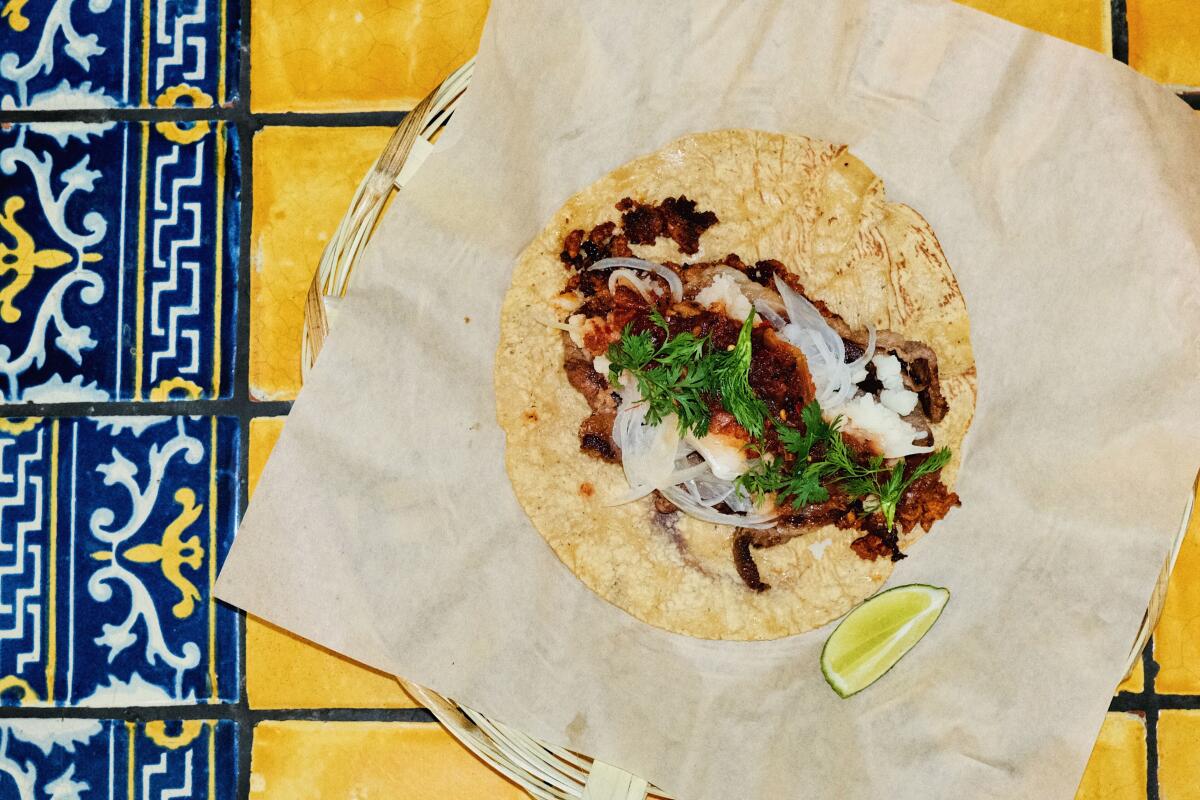 A vertical photo of the Taco Sonia at restaurant and molino Komal, filled with beef shoulder and chorizo.