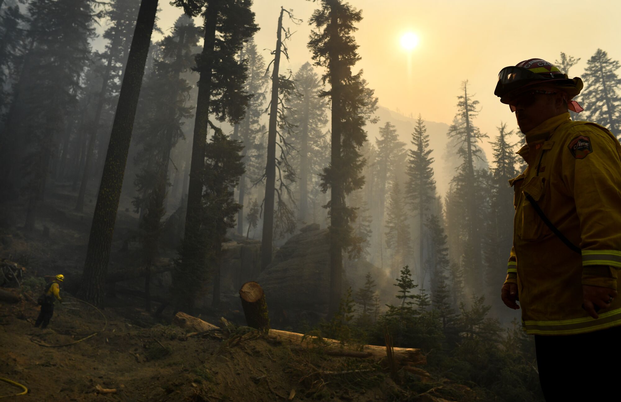 Firefighters stand in a smoky forest.