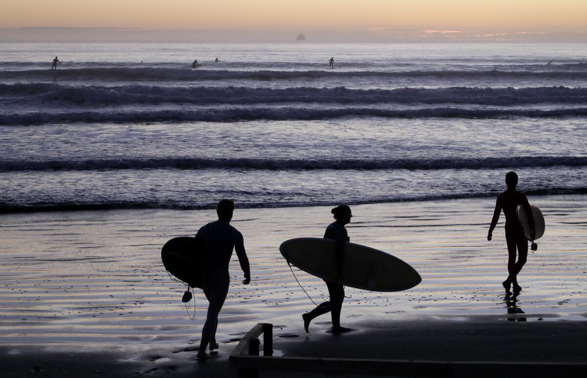 Silhouette of people carrying surfboards at a beach.