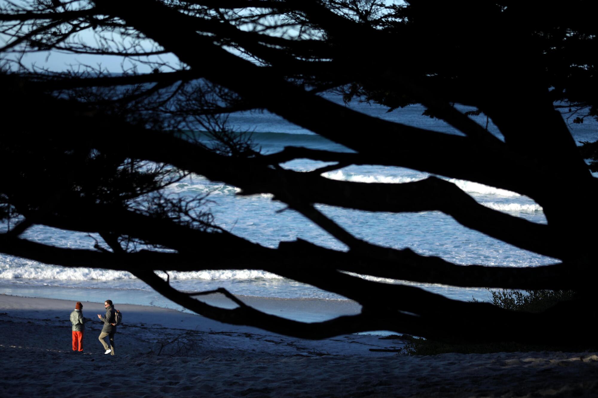 A couple walk the beach, framed by a cypress tree at the end of Ocean Avenue and the Pacific Ocean in Carmel-by-the-Sea.