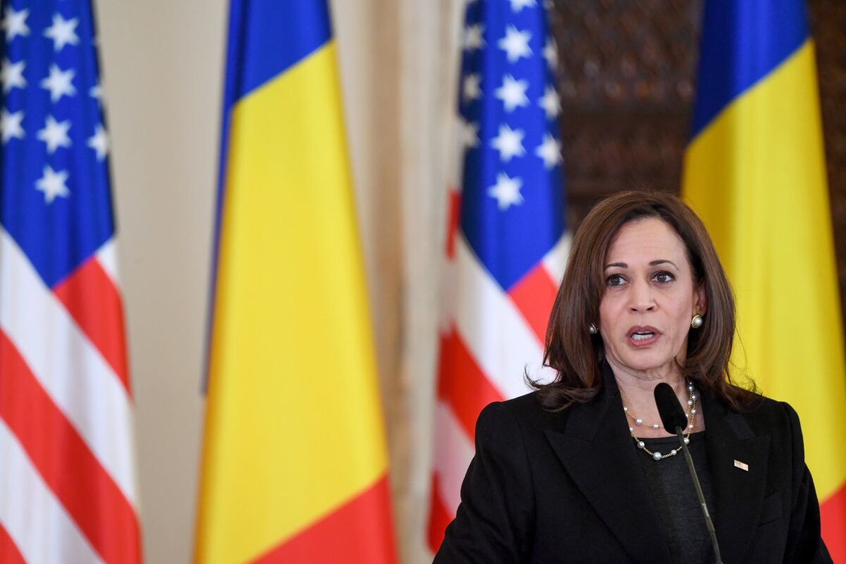 Vice President Kamala Harris speaks at a microphone while flags hang in the background