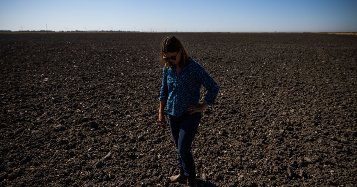 La sécheresse a coûté 1,7 milliard de dollars à l’agriculture californienne cette année