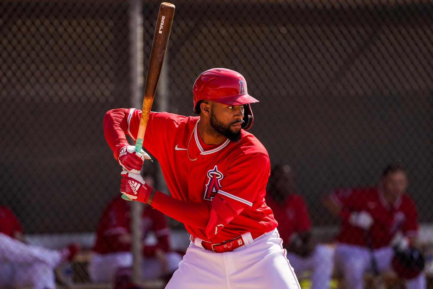 TEMPE, ARIZ. - FEBRUARY 18: Los Angeles Angels Jo Adell (59) at bat during live batting practice during Spring Training.