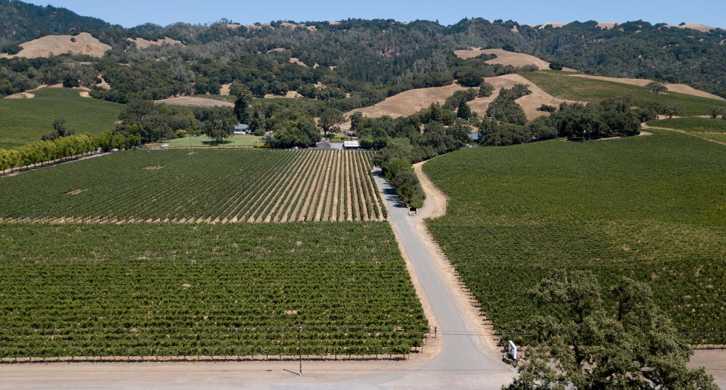 Hank Wetzel's family has farmed this luminous swath of green straddling Sonoma County’s Russian River for half a century.