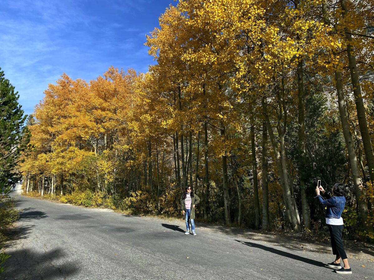 A woman takes a photo of her friends with her phone amid the backdrop of fall colors.