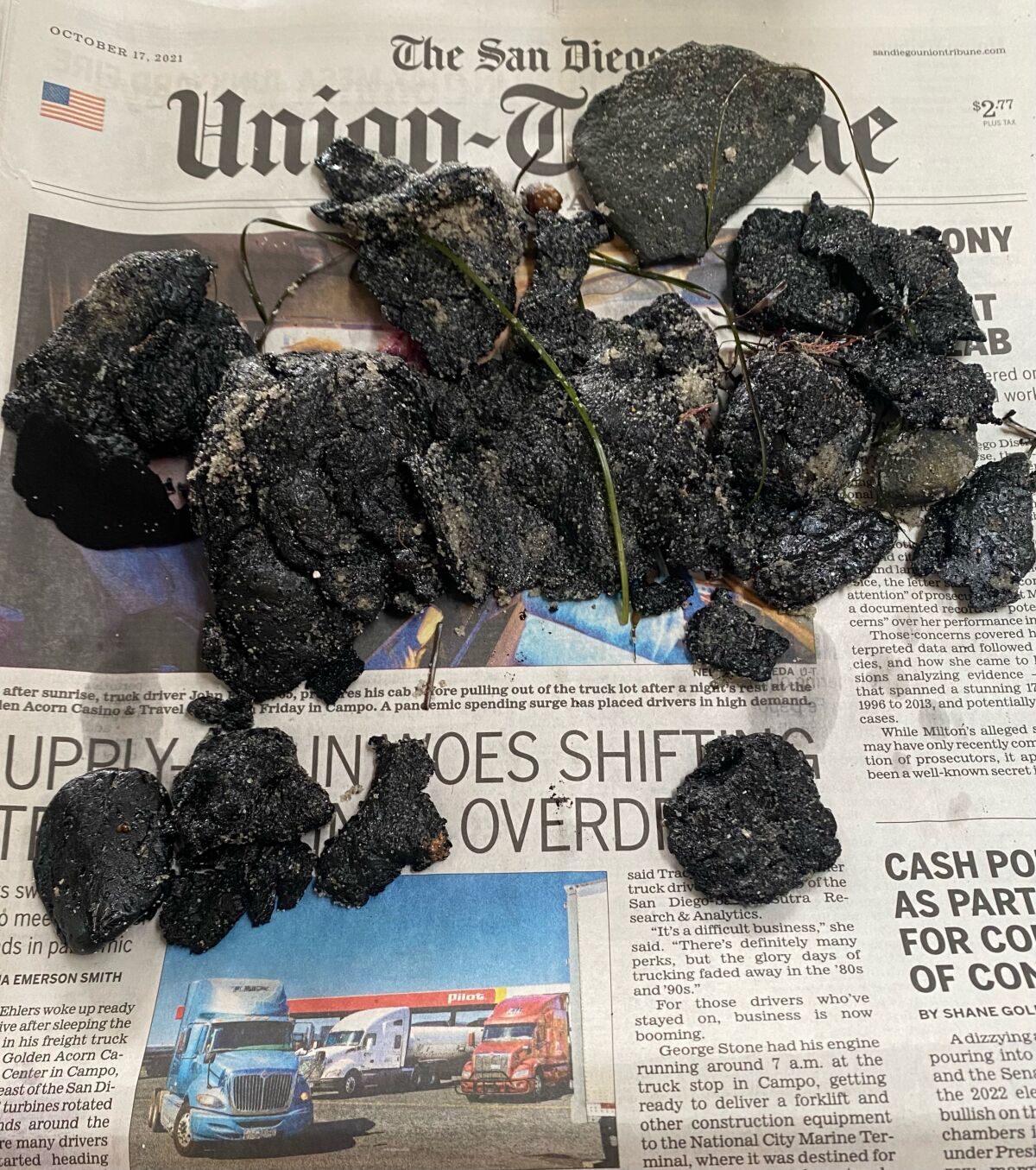 La Jolla resident Abraham Palmer says he collected these tarballs Oct. 17 at Windansea Beach.