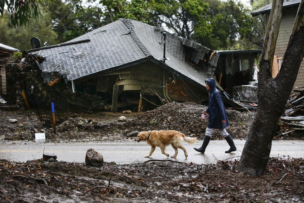 A person and a dog walk past a destroyed home.