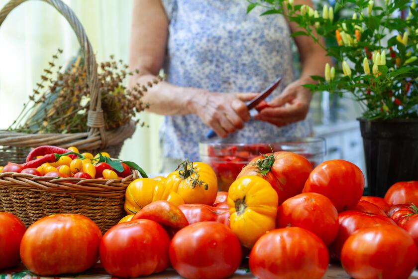 Organic fresh tomatoes on a table with a woman cutting them for sauce.