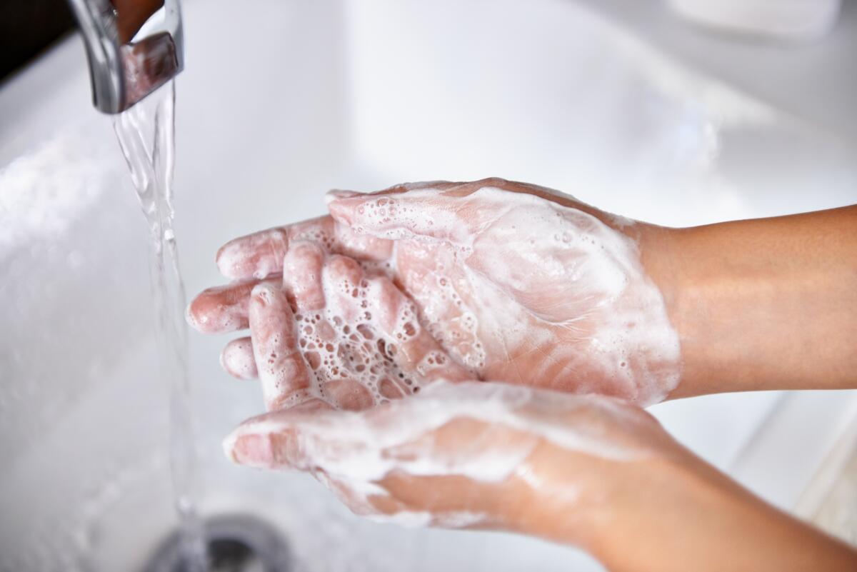Hay que lavarse las manos con agua y jabón por 20 segundos.