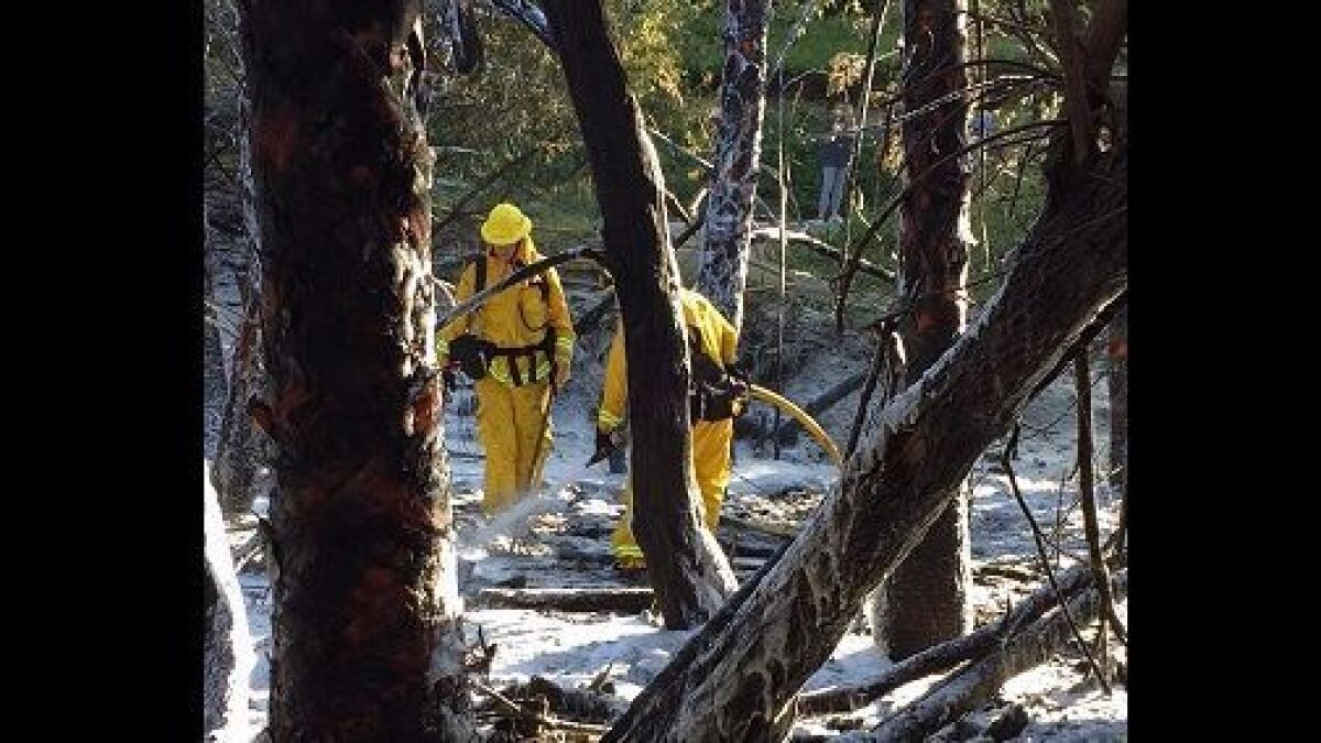 Fire crews work to extinguish a blaze that burned a hillside in Newport Beach in 2017.