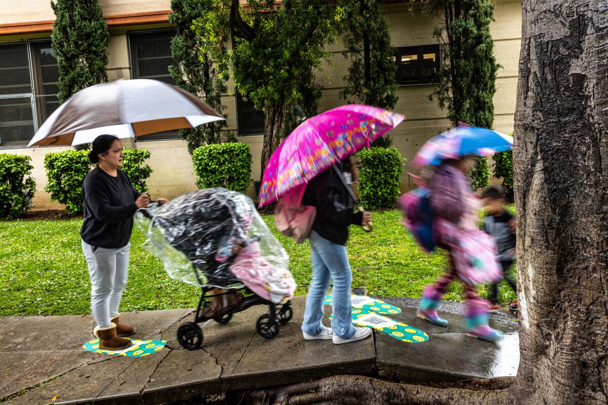 Kids getting picked up at Norwood Street Elementary School walk over large colorful bandages on the sidewalks