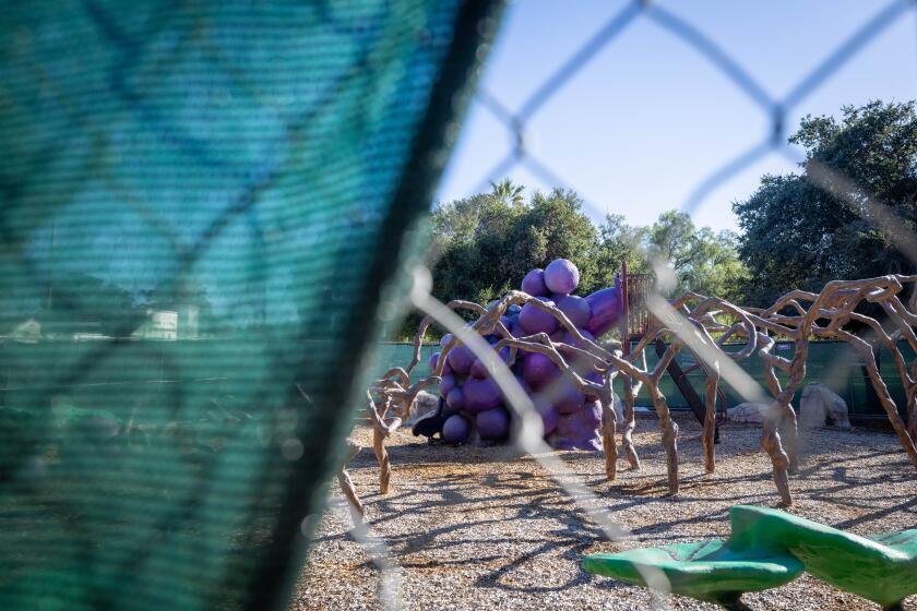 Escondido, CA - January 11: The Vinehenge Play Structure at Grape Day Park is fenced off on Thursday, Jan. 11, 2024 in Escondido, CA. (Meg McLaughlin / The San Diego Union-Tribune)