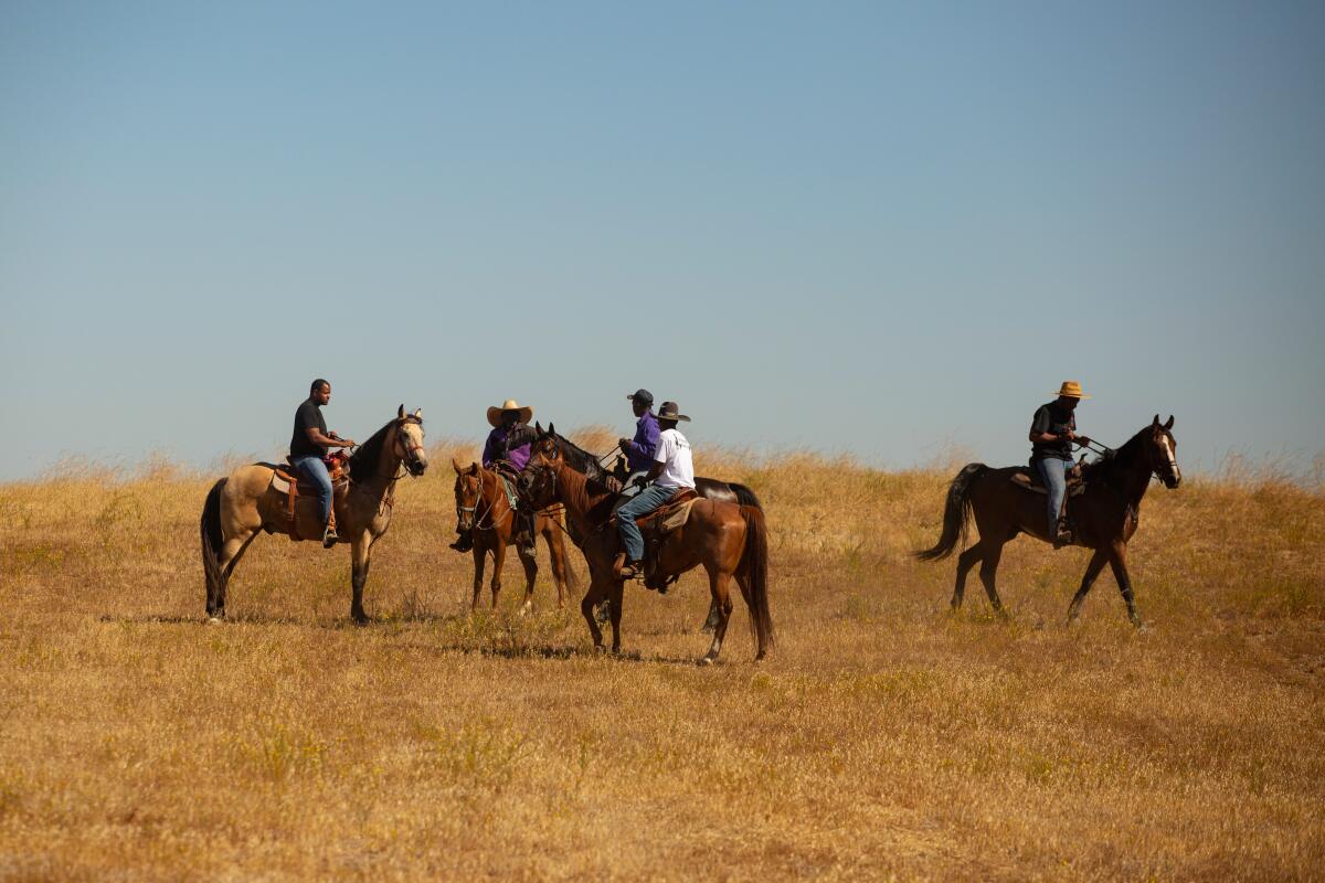 Riders on a hill during a trail ride.