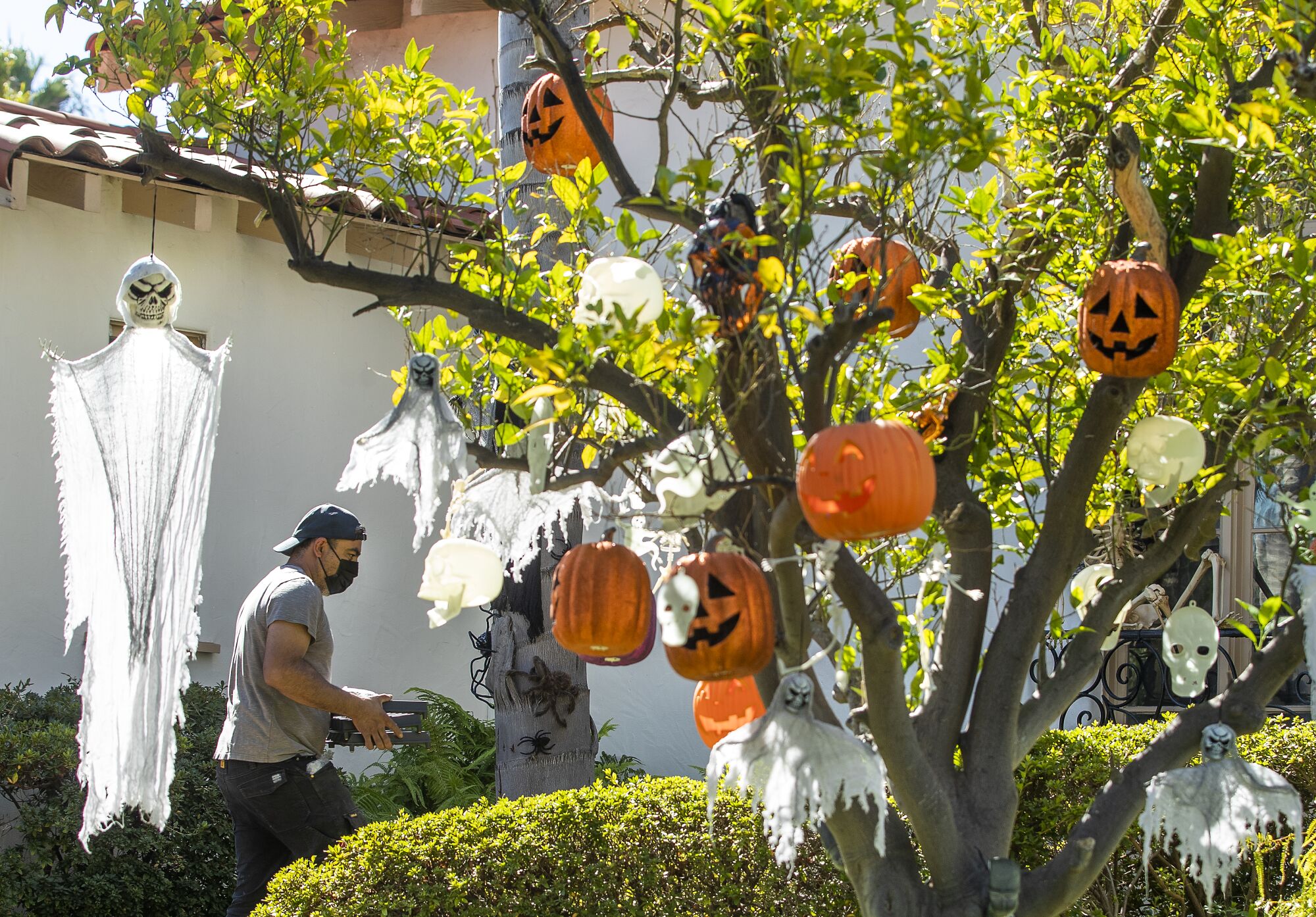 Cesar De La Cruz, a kitchen appliance installer, makes his way past a tree decorated for Halloween