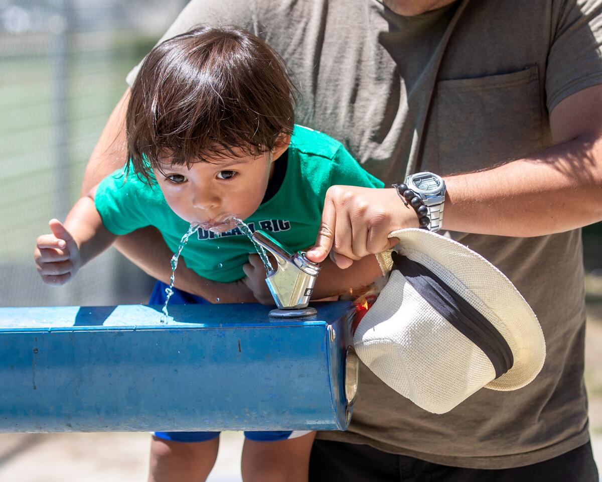 A man, partially pictured, lifts a toddler for a drink of water from an outdoor fountain 
