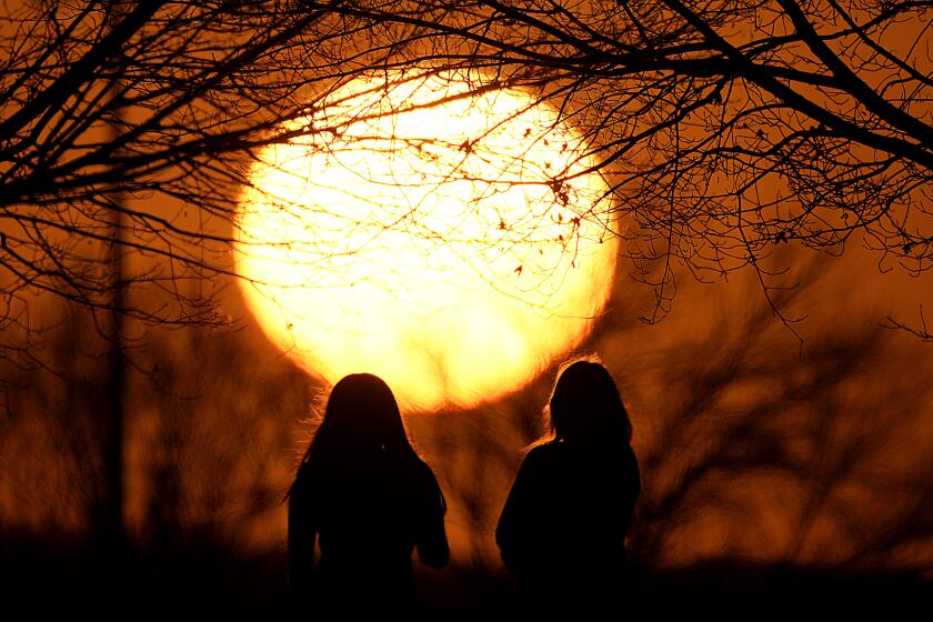 ARCHIVO - Dos personas miran el atardecer en un parque, en un día inusualmente cálido, el 25 de febrero de 2024, en Kansas City, Misuri. (AP Foto/Charlie Riedel, Archivo)