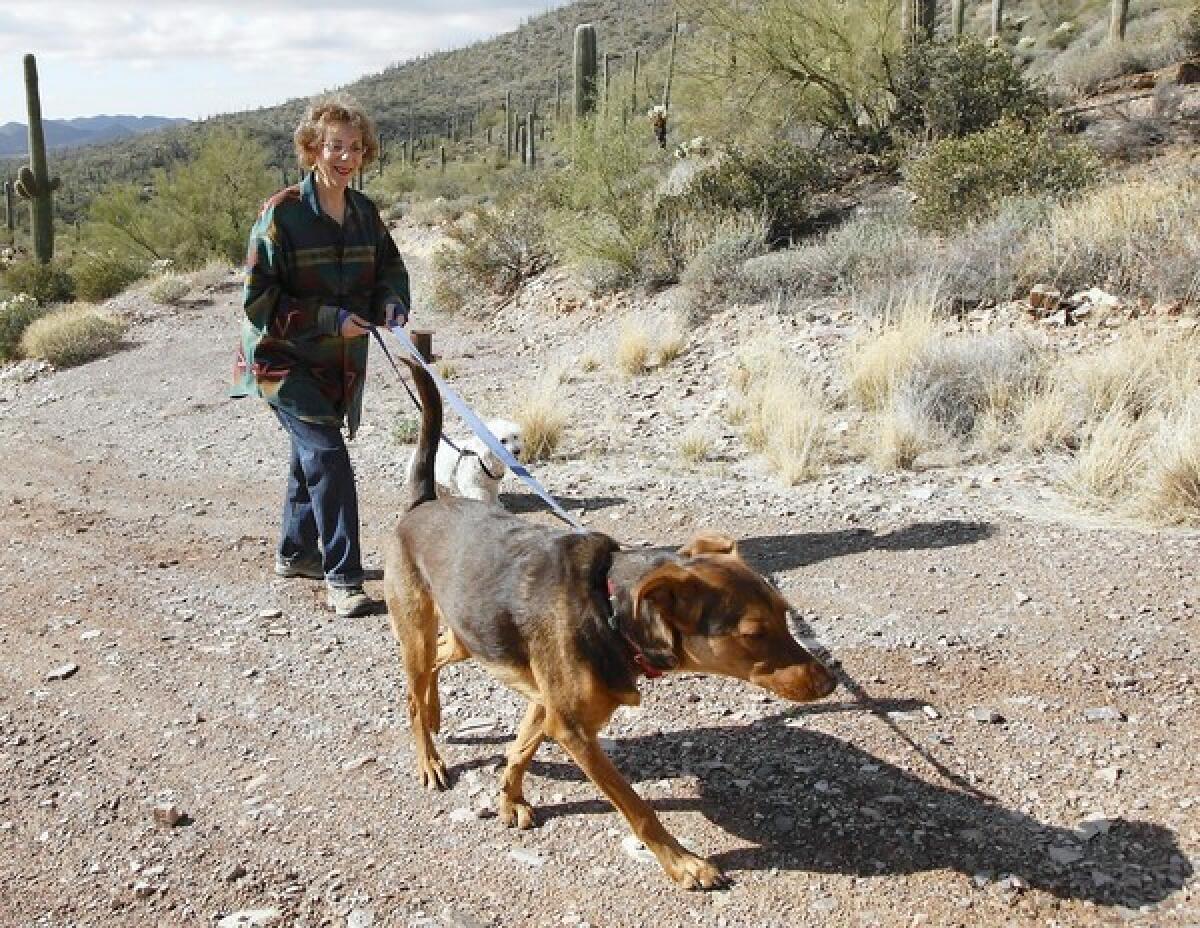 Andrea Markowitz walks her dogs in Phoenix.