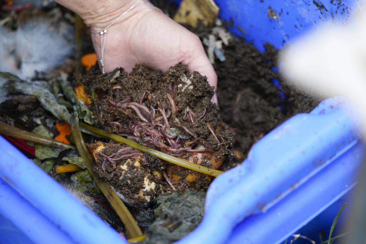 Poway Unified schools begin sorting compost waste in a pilot