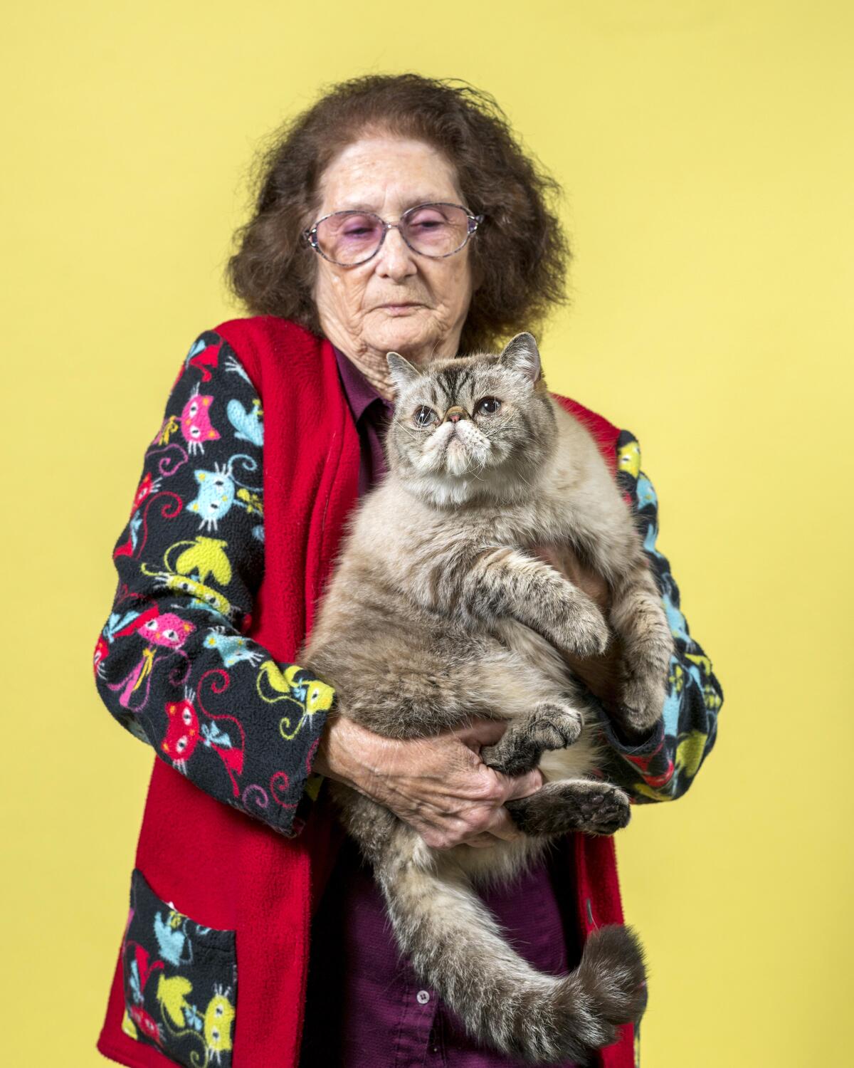 Joan Stewart holds her Exotic breed cat named Rocky.