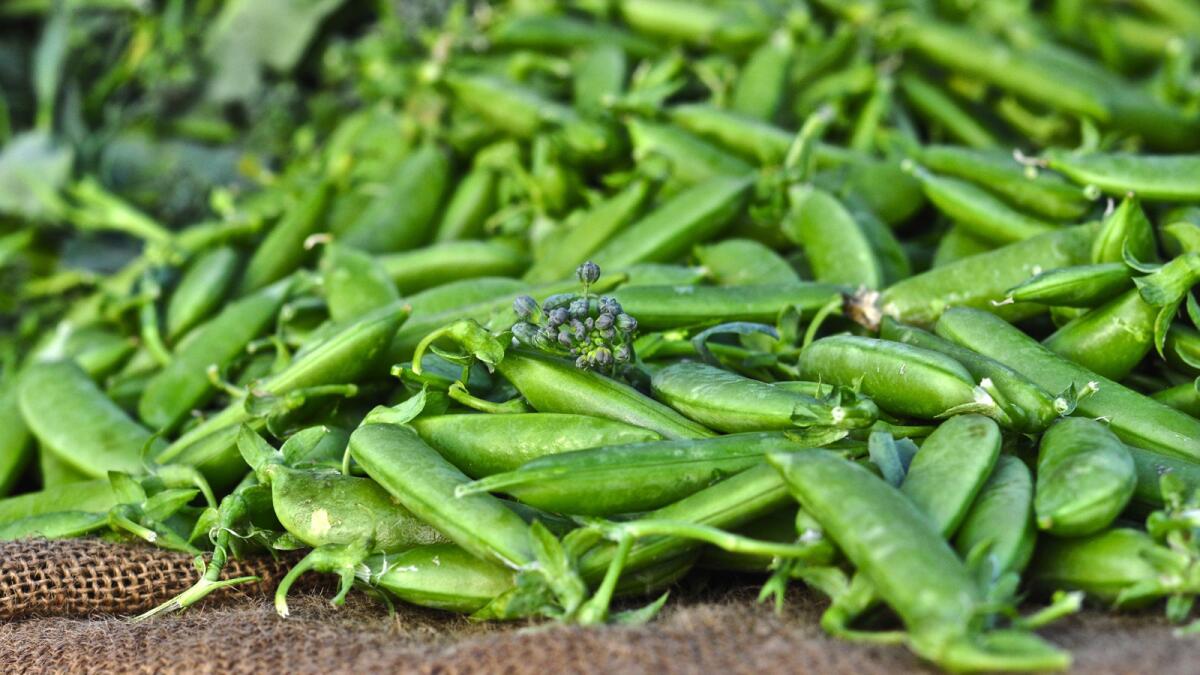 Sugar snap peas from Santa Rita Organic Farm's stall at the Culver City farmers market.