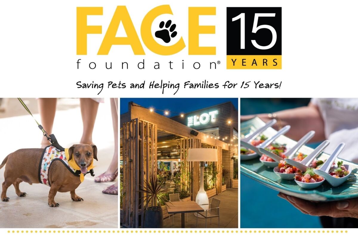 The FACE Foundation will celebrate 15 years with an event at The Lot La Jolla on Saturday, Sept. 11.
