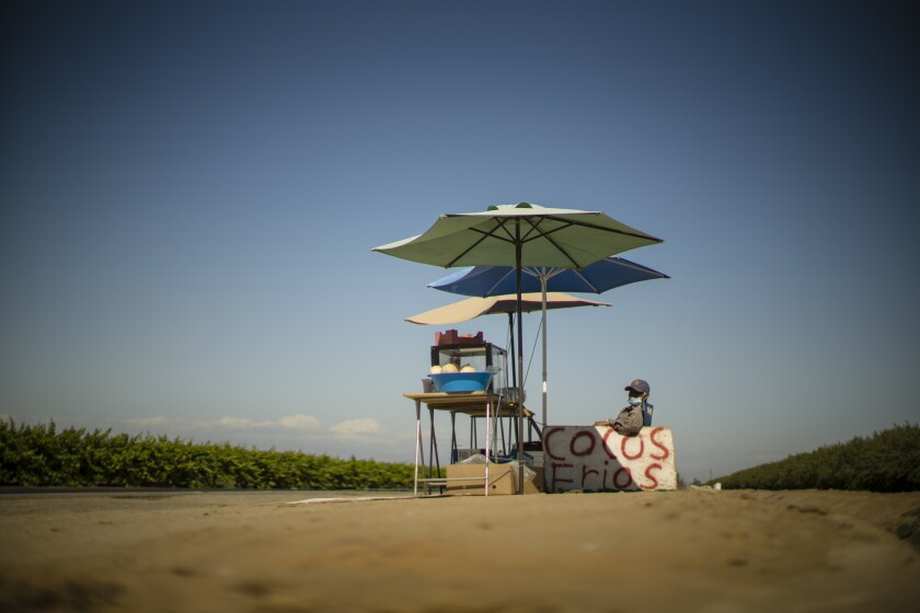 A roadside coconut stand