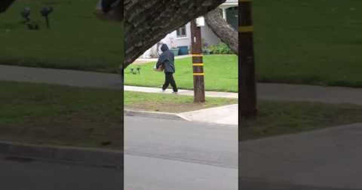 Glendale woman shames wouldbe thieves into returning stolen package