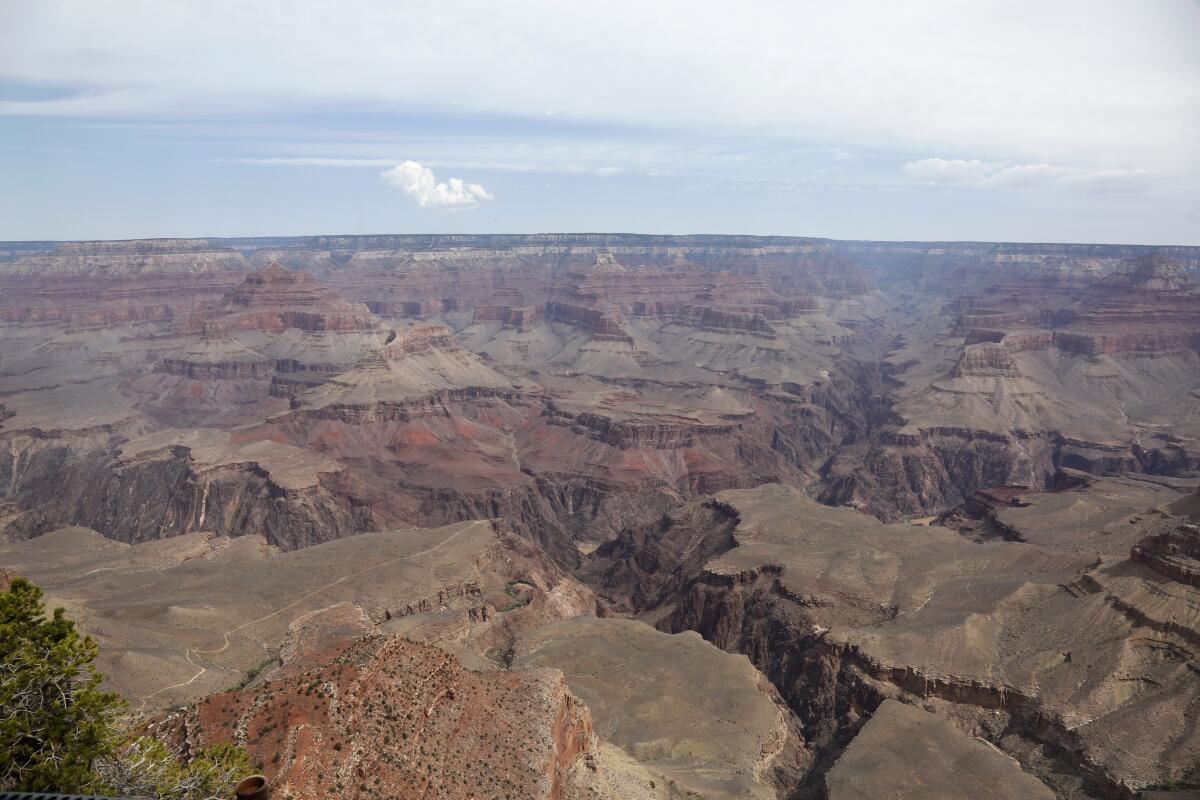 View of Grand Canyon National Park from the South Rim